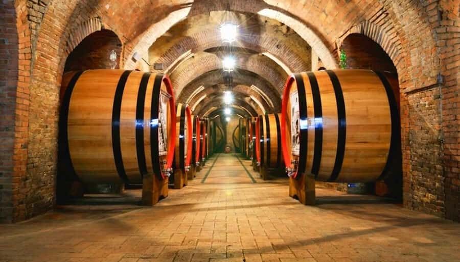 Undurraga Wine tour - Entering Undurraga: Vineyards and a Guided Look at Wine