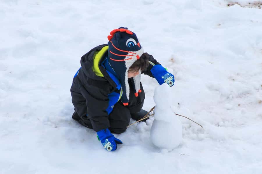 Valle Nevado Tour - Valle Nevado’s main draw: big altitude views with a guided day plan