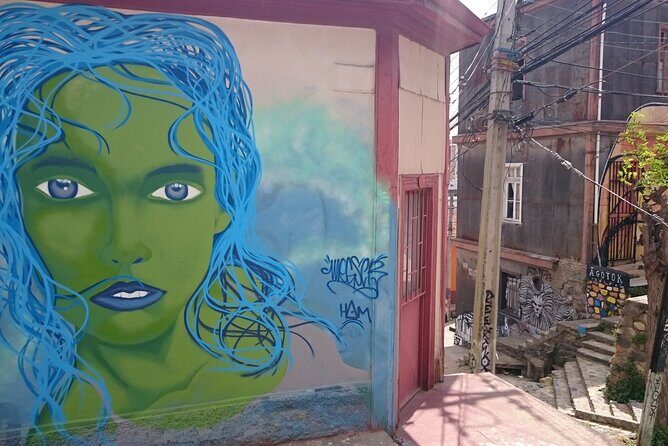 Valparaiso and Viña del Mar Full-Day Private Guided Tour - Casablanca Valley: A Wine-Country Stop That Breaks Up the Drive