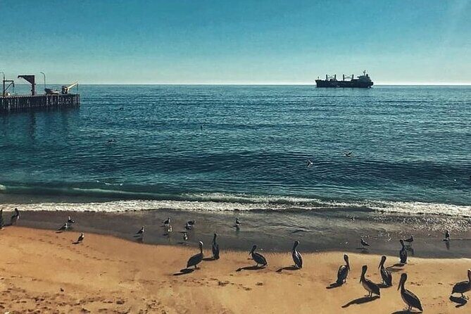 Valparaiso and Viña del Mar Tour and Casa Blanca Valley Wine Shop - Valparaíso and Viña del Mar in one day: what you’re buying with your time