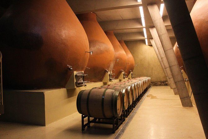 Valparaiso & Casablanca : Wine, Gastronomy and Living Culture - Casablanca Vineyard Tasting in the Right Amount of Time
