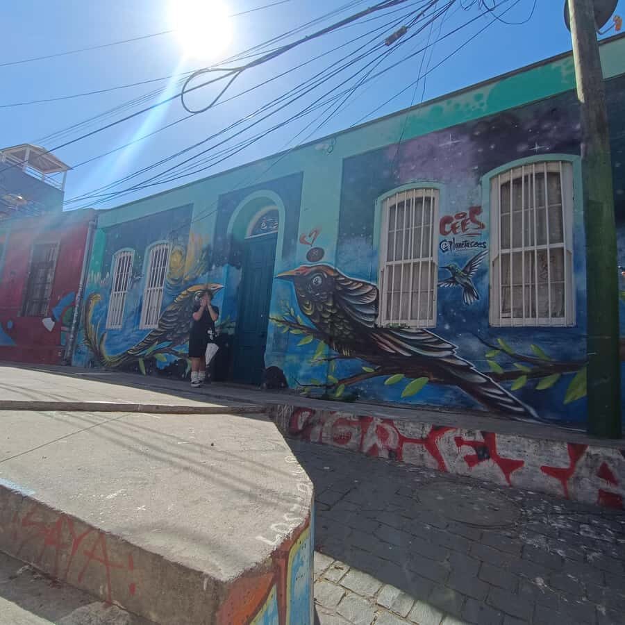 Valparaíso: city tour and ticket to the house of Pablo Neruda - What you get for about $50: value check, no fluff