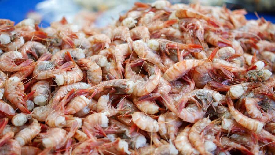 Valparaiso Port and Viña del Mar, Wine tasting in Casablanca - Lunch on the coast: a planned break, and a cost to budget