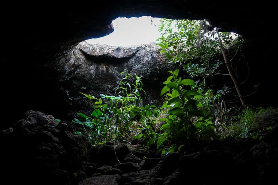 Volcanic Refuges: Excursion to Underground Civilization - Stop 2: Ana Te Pahu and the Largest Cave Experience (About 80 Minutes)