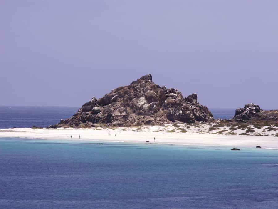 Whales & Humboldt Penguins: Chañaral or Damas island hiking - From La Serena to the Coasts of Choros and Damas