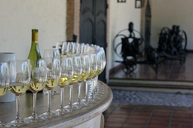 Wine wonders at Concha y Toro premium tour - Key Things to Know Before You Go